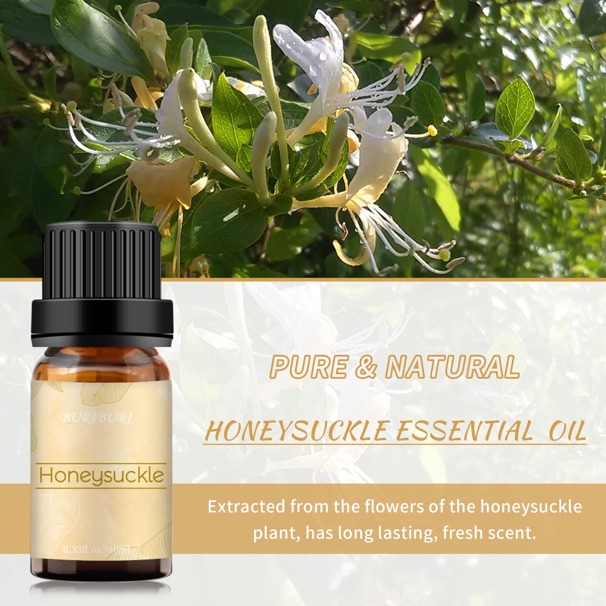 BURIBURI Honeysuckle essential oil in diffuser releases lasting floral aroma.