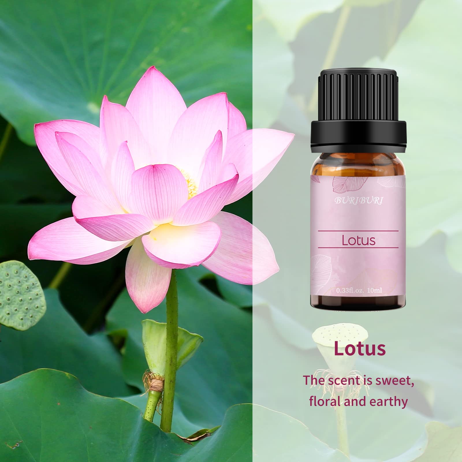 BURIBURI Lotus essential oil diffuser blend illustrating multi-room aroma potential.