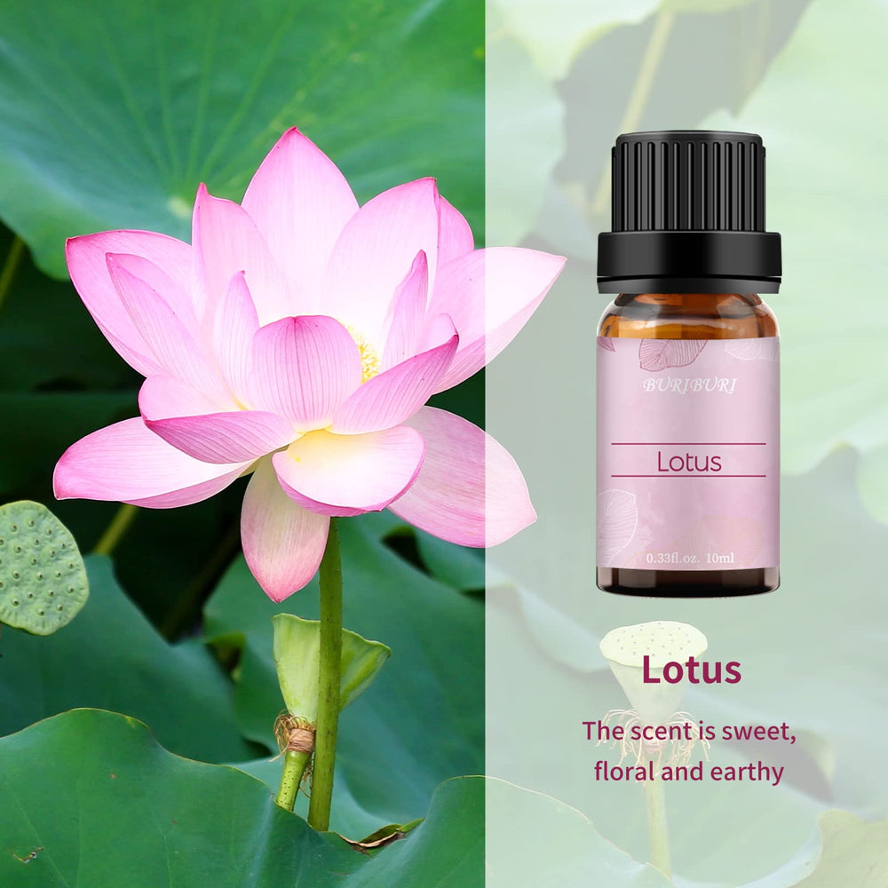 BURIBURI Lotus essential oil diffuser blend illustrating multi-room aroma potential.
