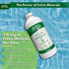 Buried Treasure Fulvic Minerals Pure added to a beverage without altering flavor