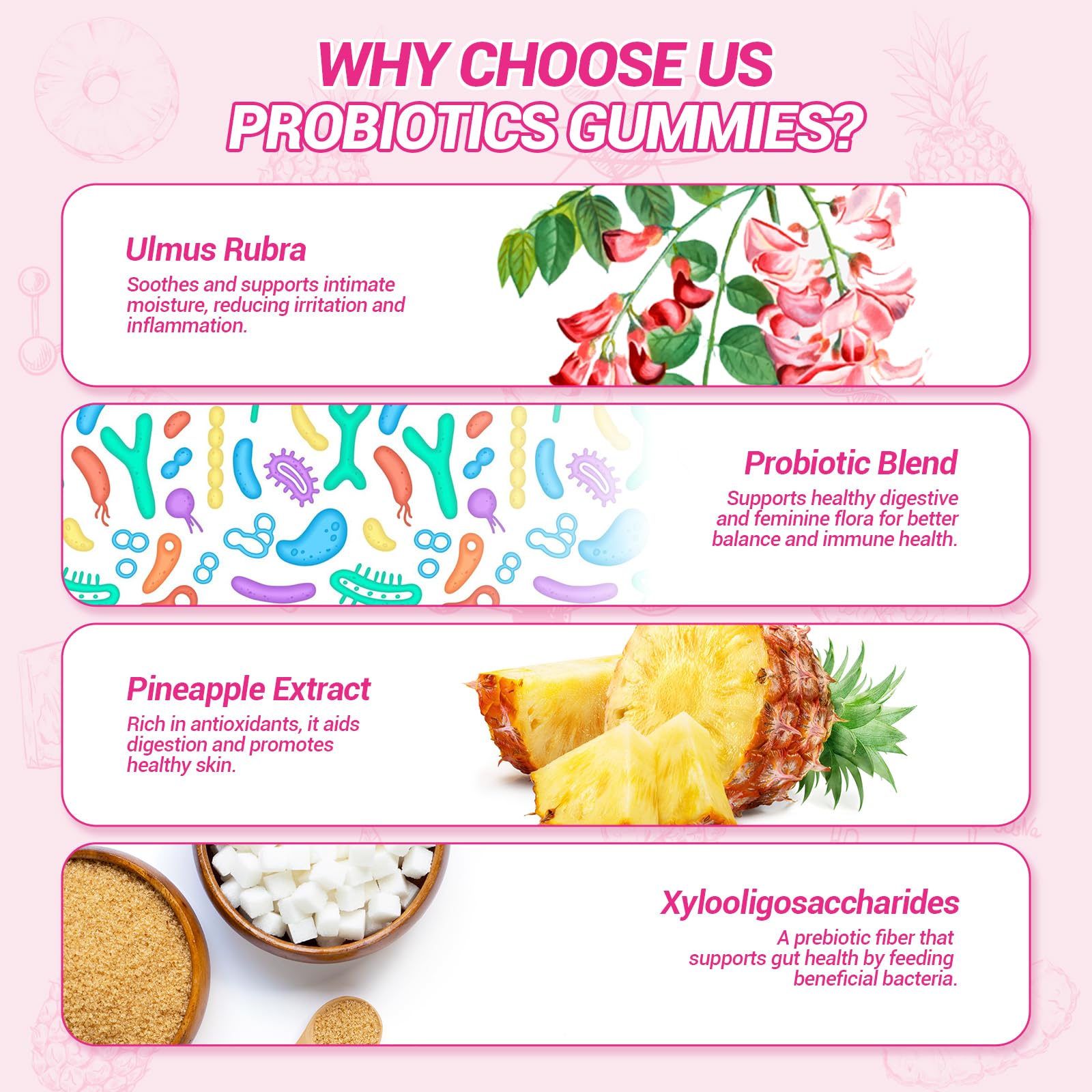 BURMINY probiotic blend graphic emphasizing gut and immune harmony.