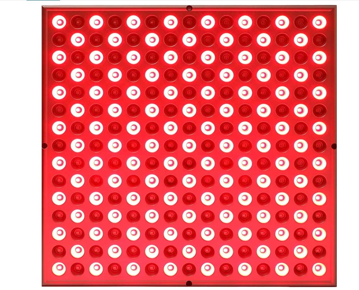 Business Climax EU plug LED panel front view for at-home red light therapy benefits.
