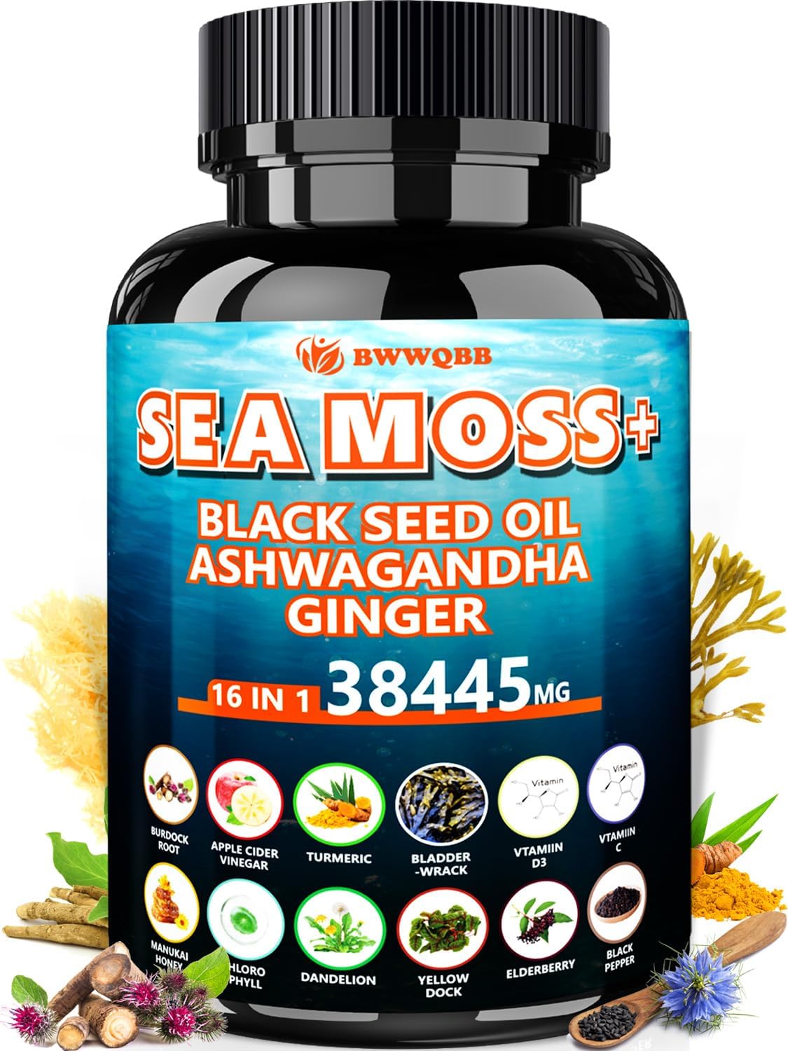BWWQBB Ashwagandha Sea Moss Capsules bottle for daily wellness.