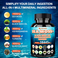 BWWQBB Ashwagandha Sea Moss Capsules being poured for easy daily use.