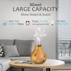 BZseed Diffuser emits a cool mist without heat for safe aroma diffusion.