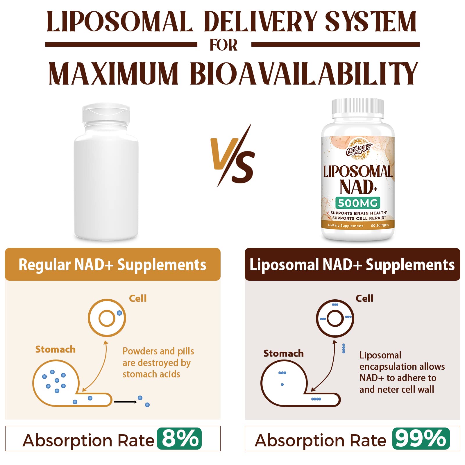 Caenciennes Liposomal NAD+ Plus coating detail shows the phospholipid shell aiding absorption.