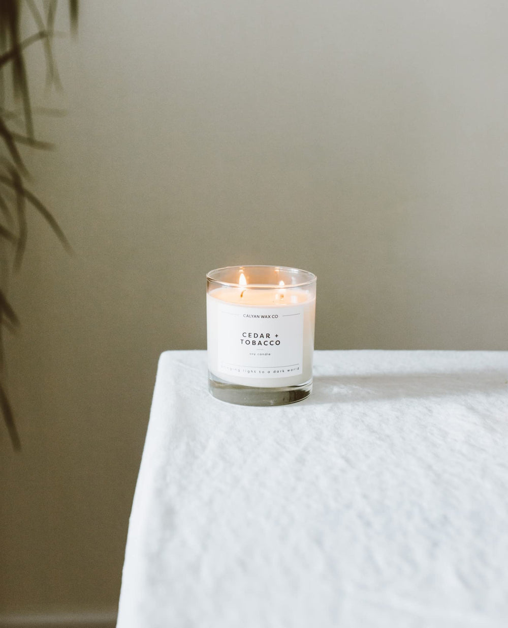 Calyan Wax Co. Cedar and Tobacco 2 Wick Candle in living room setting