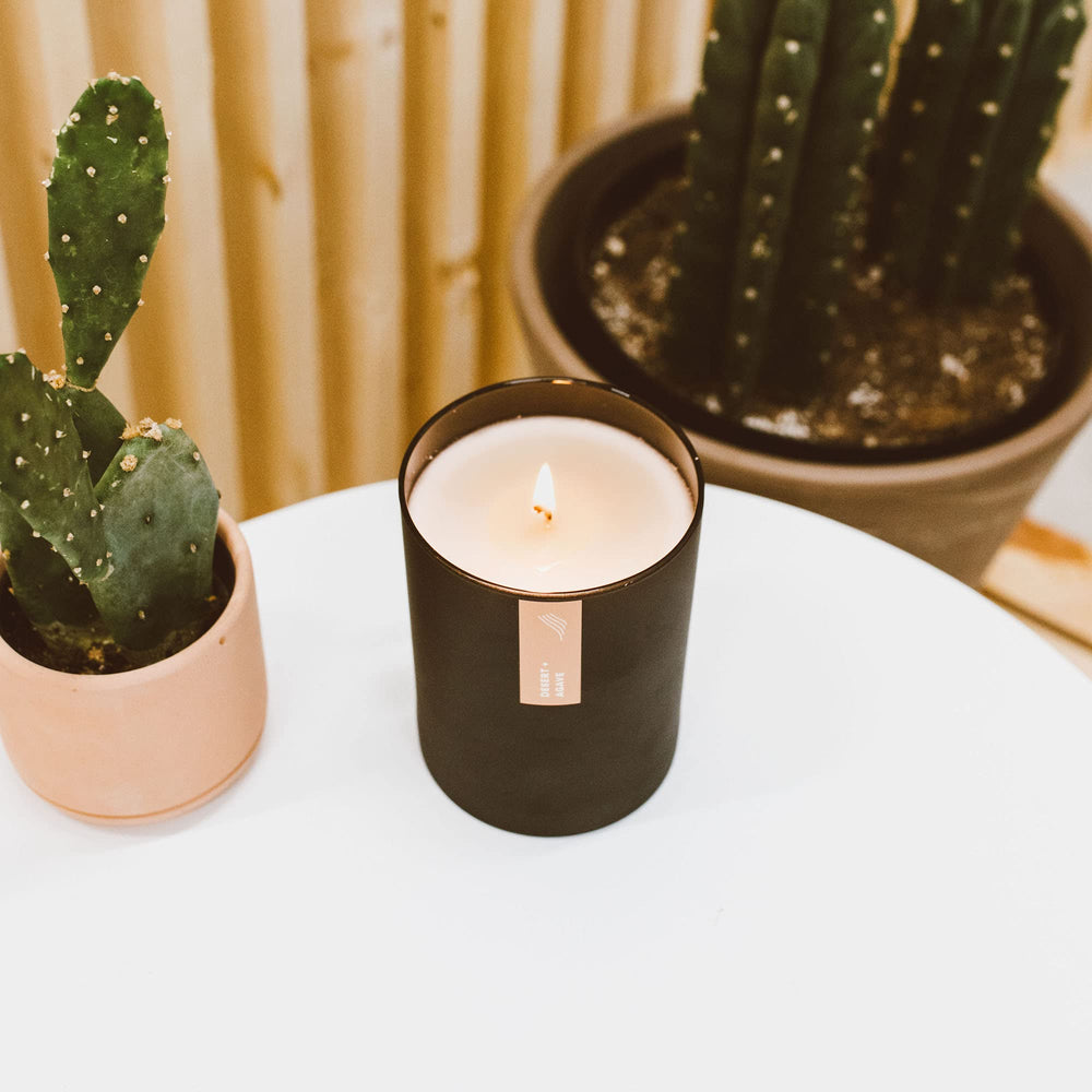 Calyan Wax Co. Desert & Agave candle ambient light for relaxing evenings.