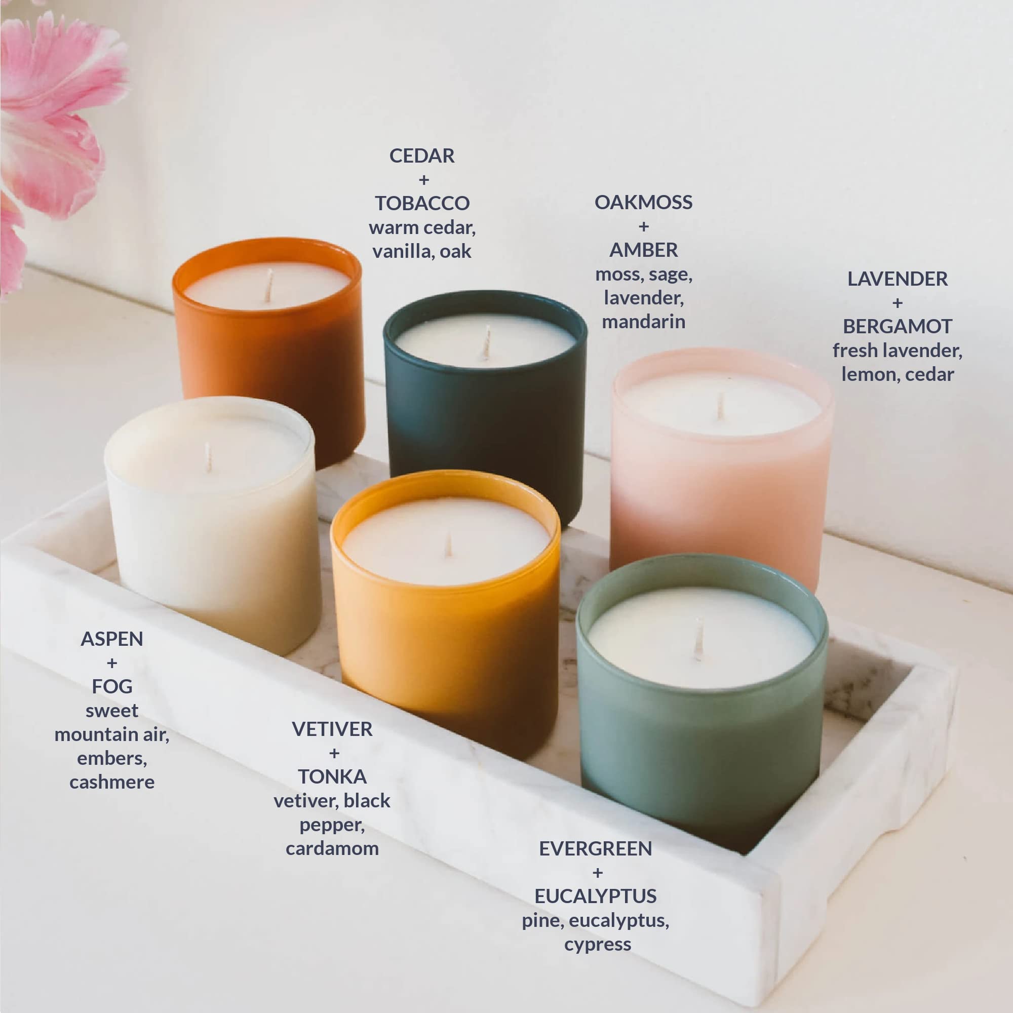 Calyan Wax Co. Dignity Cedar & Tobacco candle brightens a study with rich notes.