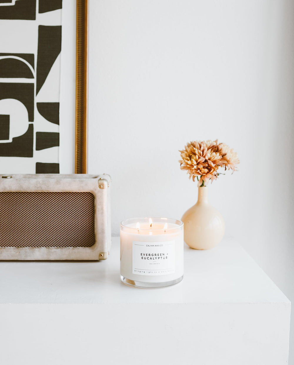 Calyan Wax Co. Evergreen and Eucalyptus 3 Wick living room ambience
