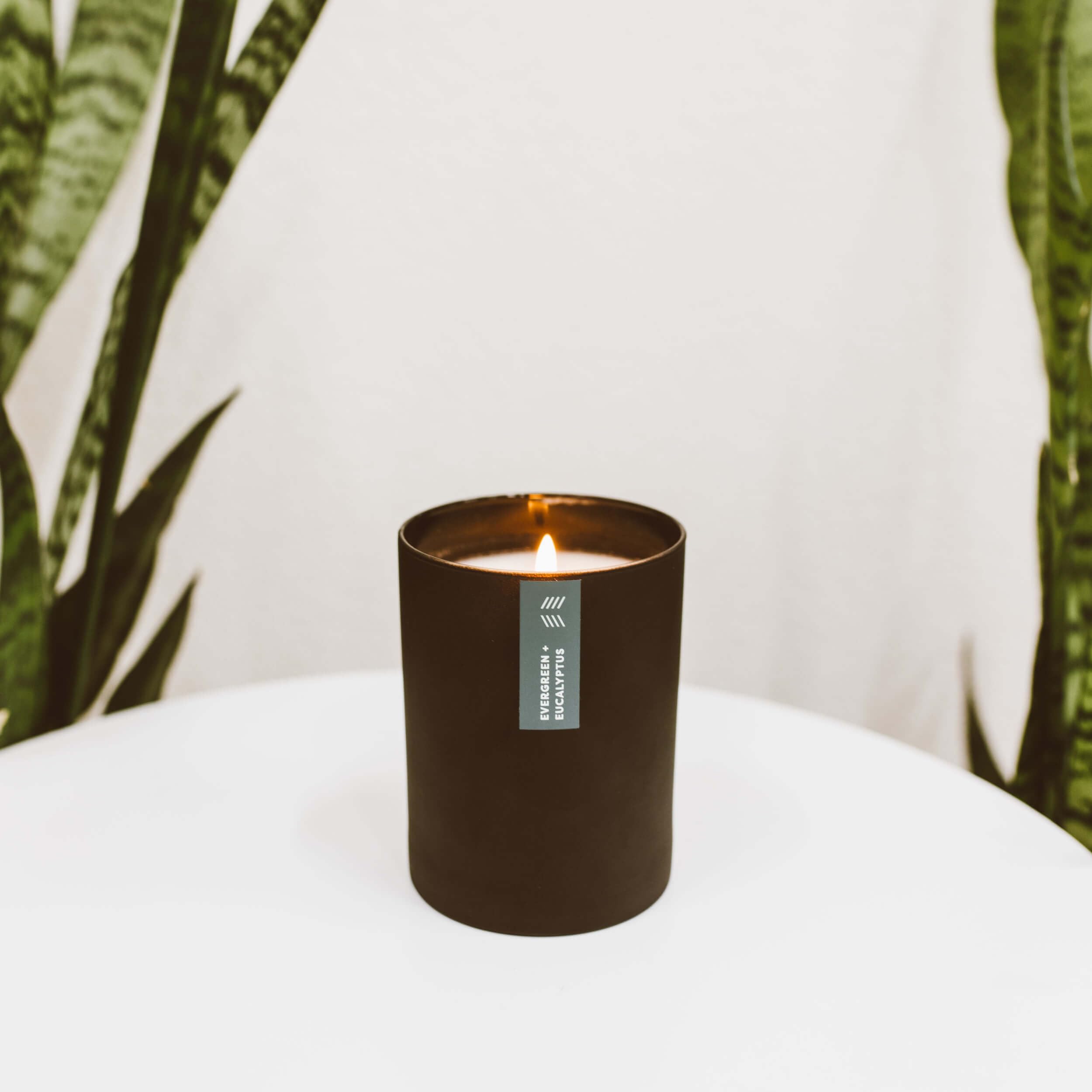 Calyan Wax Co. evergreen-eucalyptus burn shot implies up to 75 hours of fragrance.
