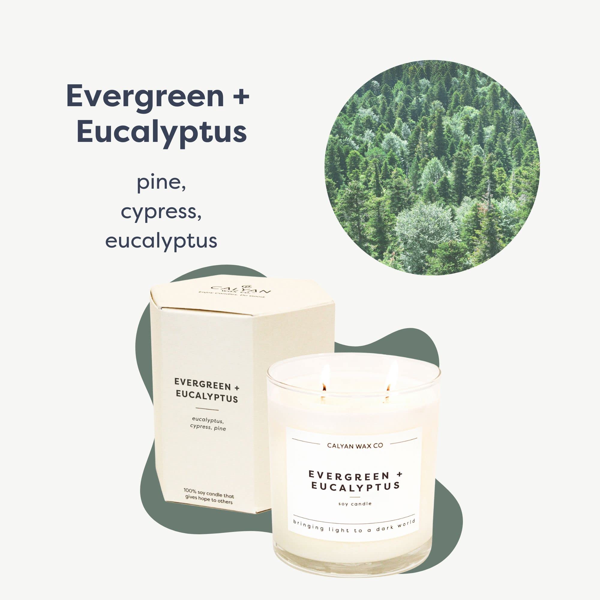 Calyan Wax Co. evergreen-eucalyptus close-up shows premium soy wax and dual wicks.
