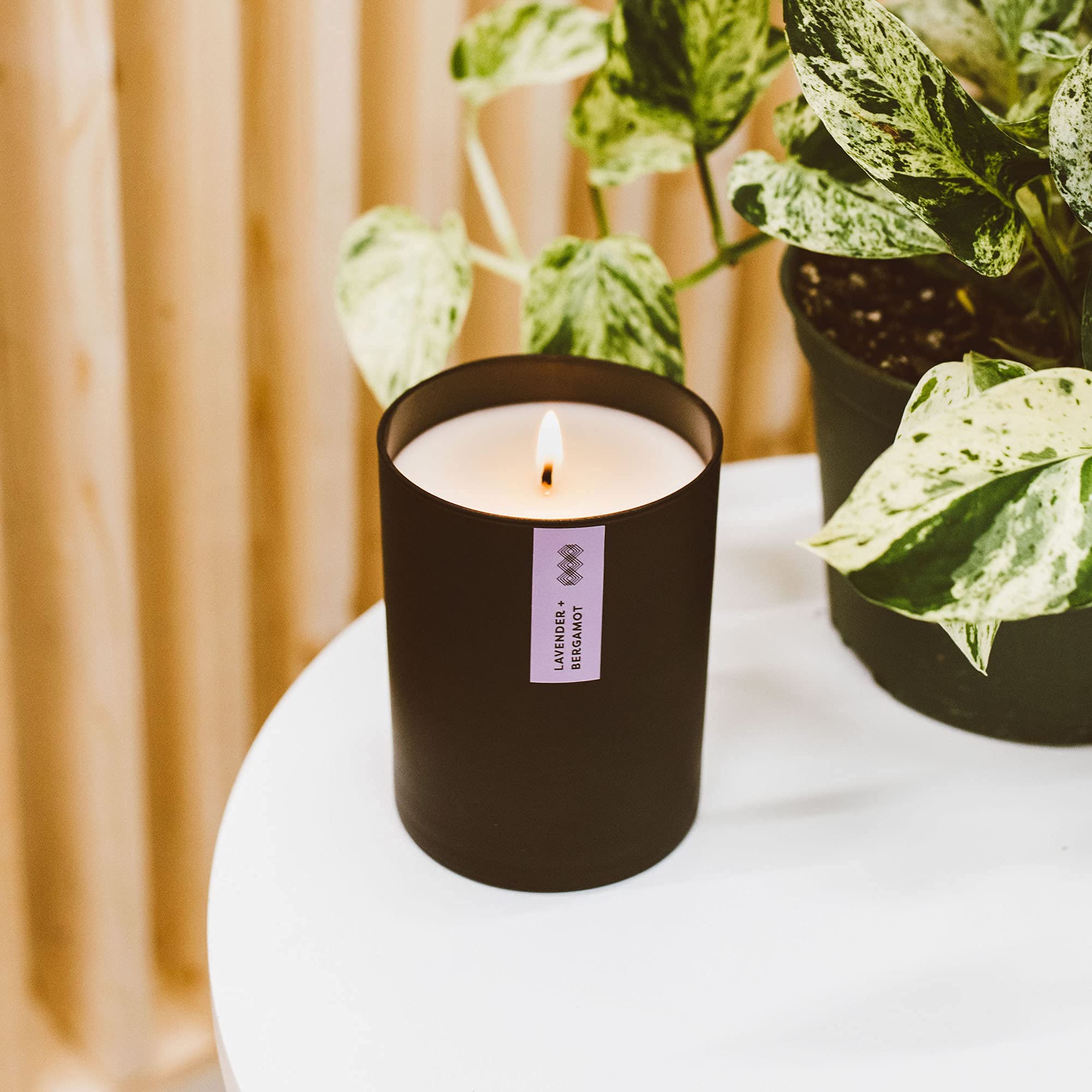 Calyan Wax Co vegan and cruelty-free candle with plant-based ingredients.