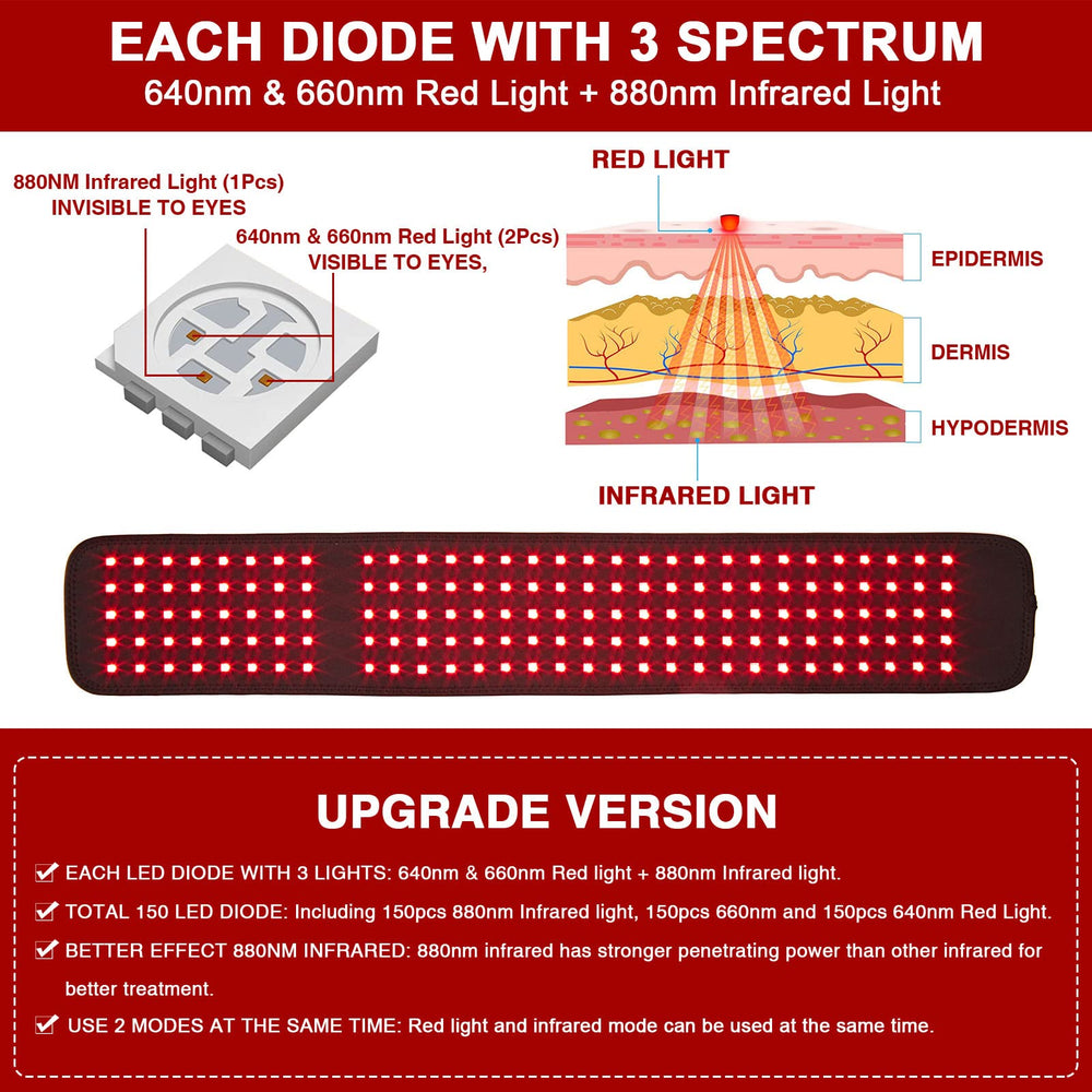CAMECO infrared-light belt demonstrates pulse mode for enhanced blood flow support.