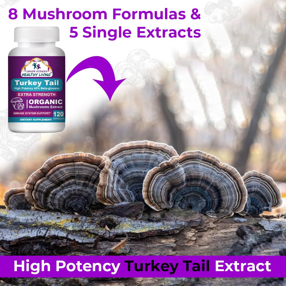 Cancer Sciences Turkey Tail smoothie-mix being prepared to boost gut-friendly wellness