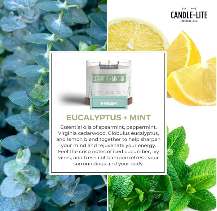 Candle-Lite Essential Elements Eucalyptus and Mint in a bright home office for focused ambience.