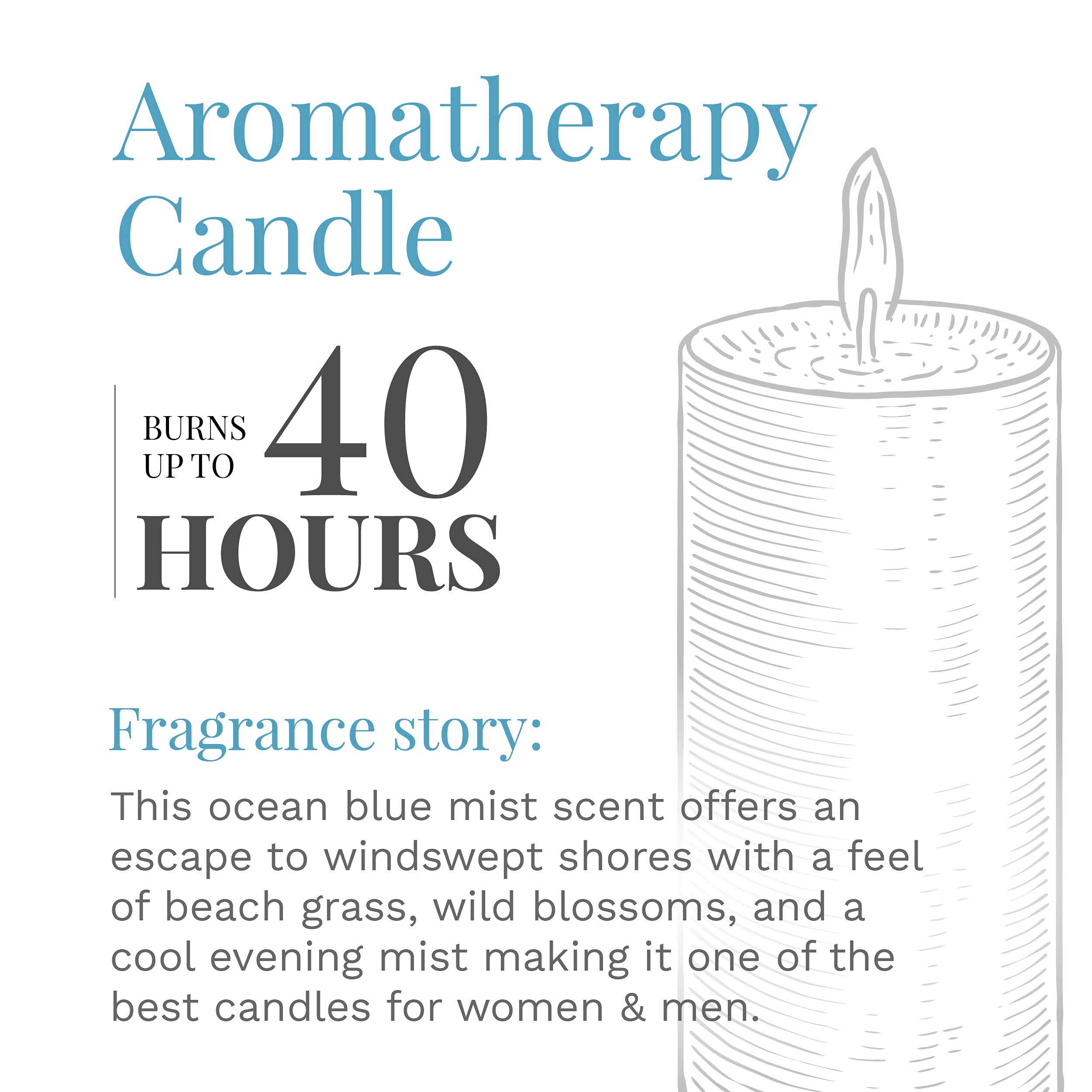 Ocean Blue Mist room scene highlights versatile décor for living rooms or offices.