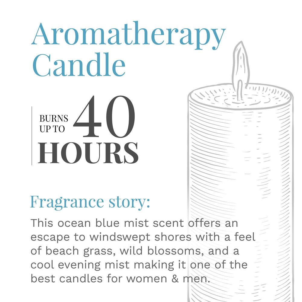 Ocean Blue Mist room scene highlights versatile décor for living rooms or offices.