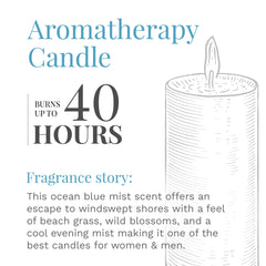 Ocean Blue Mist room scene highlights versatile décor for living rooms or offices.
