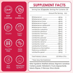 CANLIST probiotics with prebiotics and enzymes in capsules highlighting digestive synergy