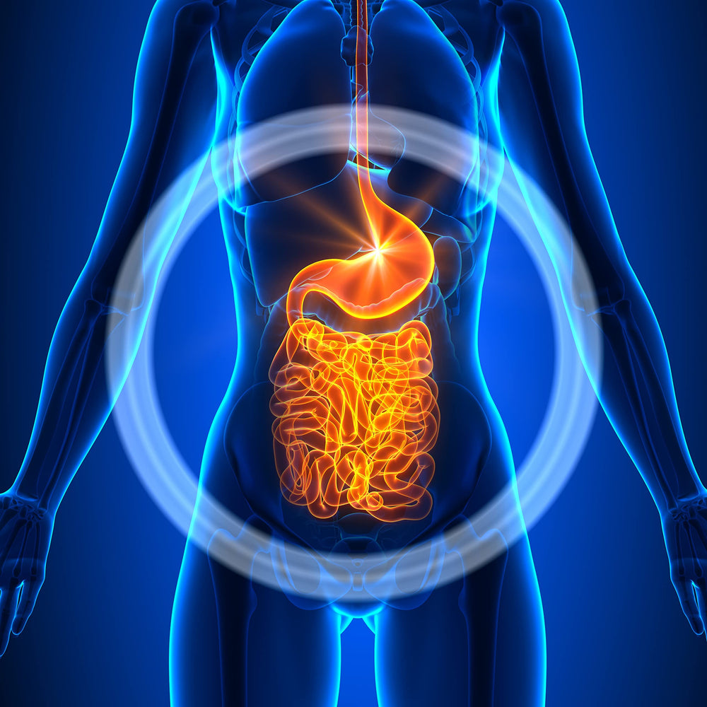CardioTabs daily use, convenient gut-friendly routine.