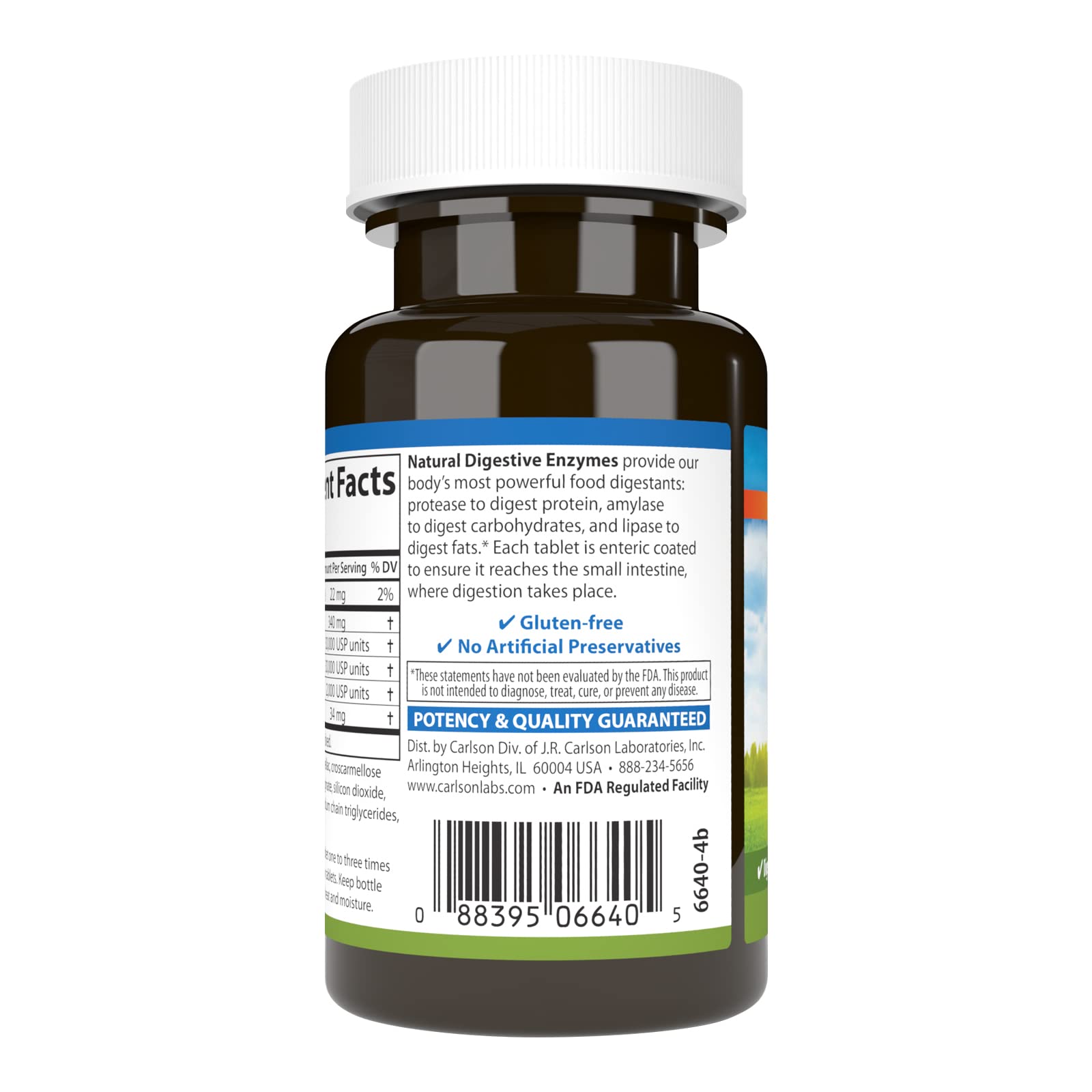 Carlson Digestive Enzymes 34 tablets close-up showing coated tablets for targeted digestion.