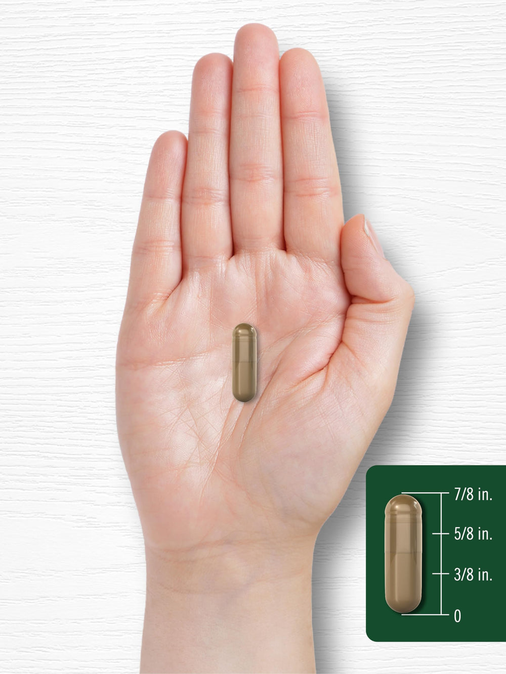 Carlyle Astragalus root capsules vegetarian formula for plant-based wellness