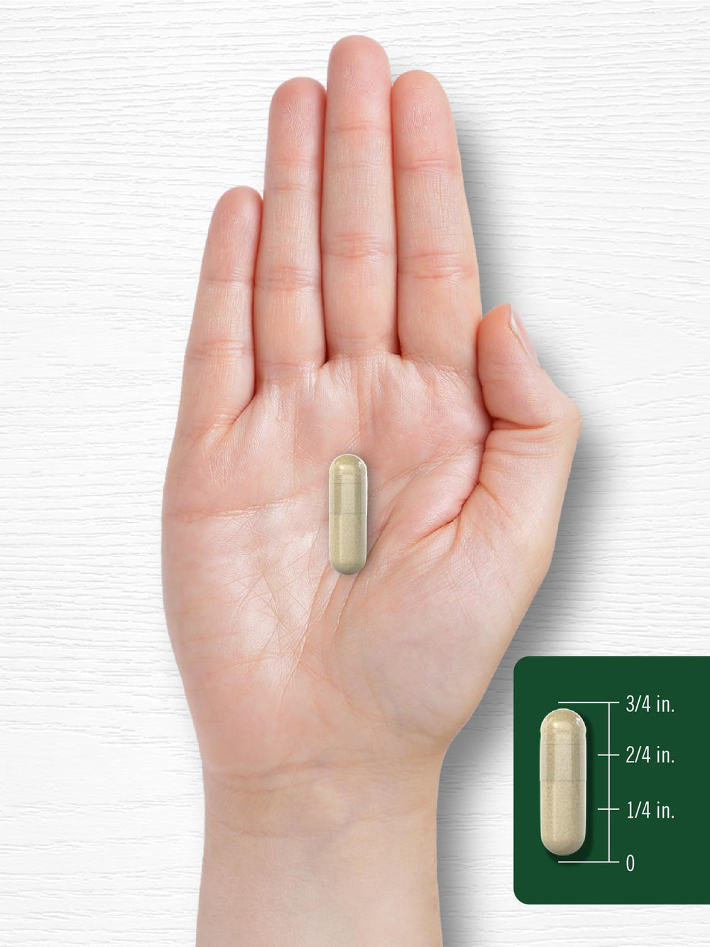 Carlyle Cordyceps top view with bottle and capsules for easy daily use