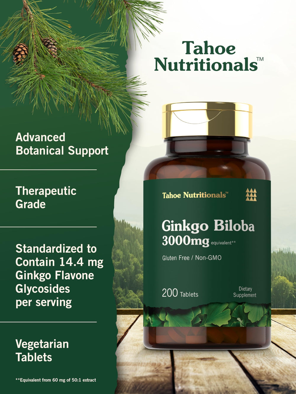 Carlyle Ginkgo Biloba leaves close-up emphasizes herbal origin