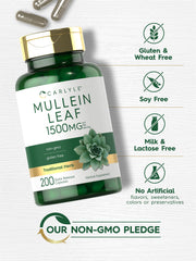 Packaging box image conveys premium quality and trust
