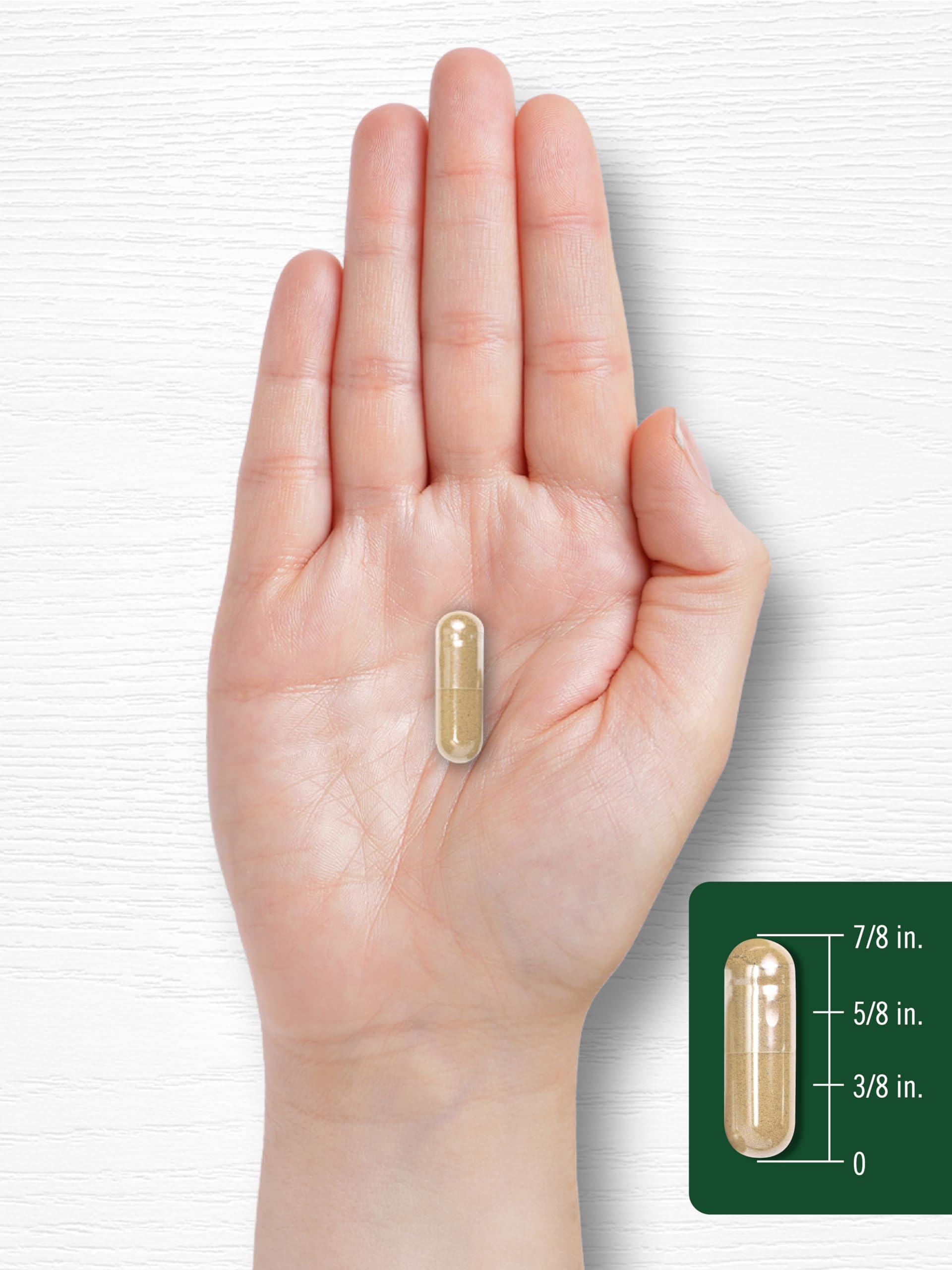 Carlyle Neem Leaf value-size pack, economical wellness option