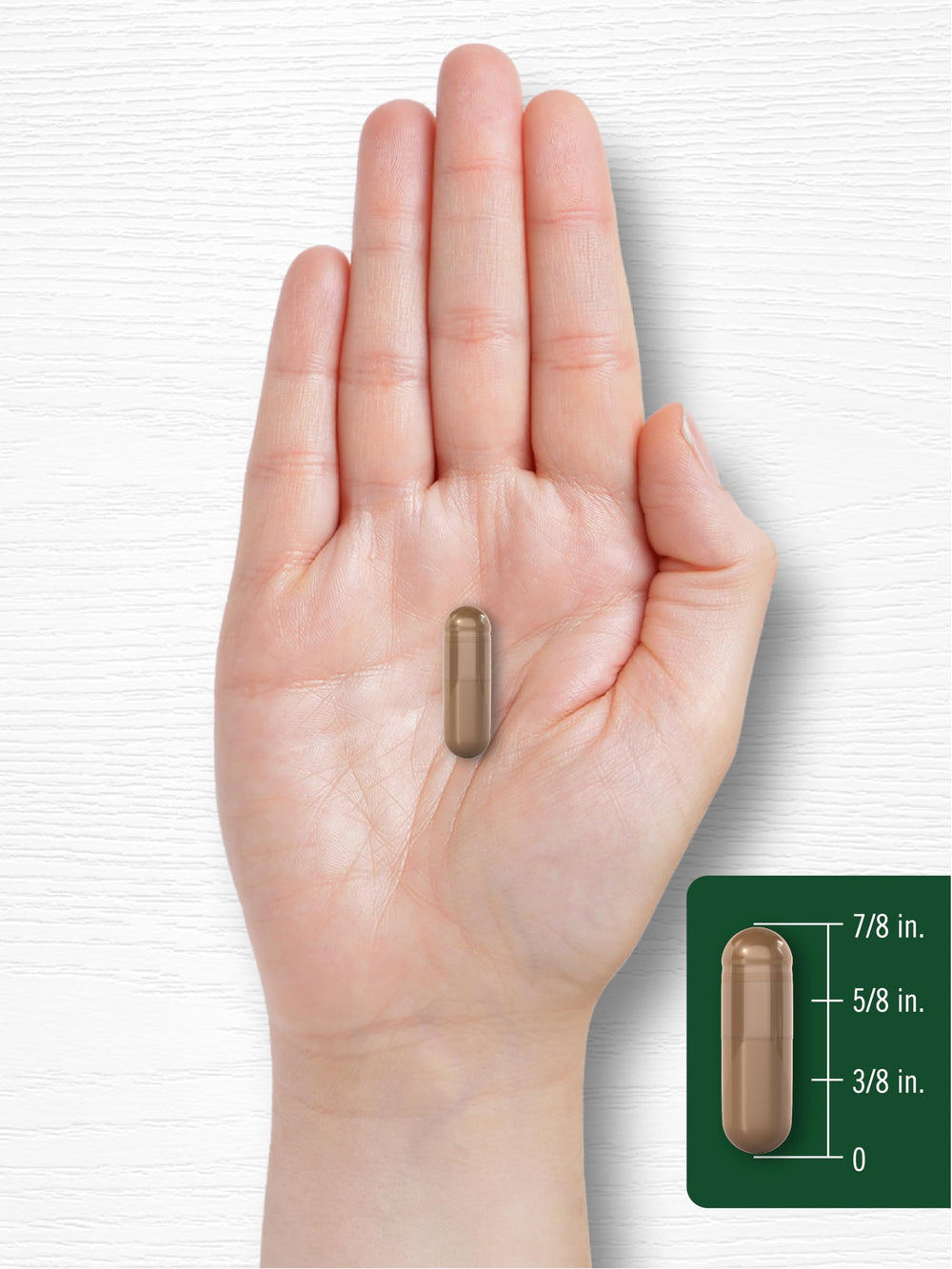 Carlyle Reishi mushroom capsule close-up with a smooth glossy coating.