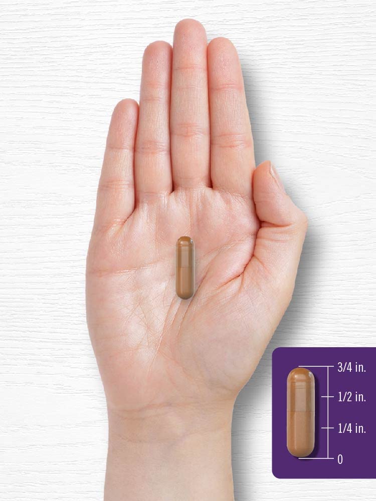 Carlyle Resveratrol two bottles pack, ready for a balanced daily routine