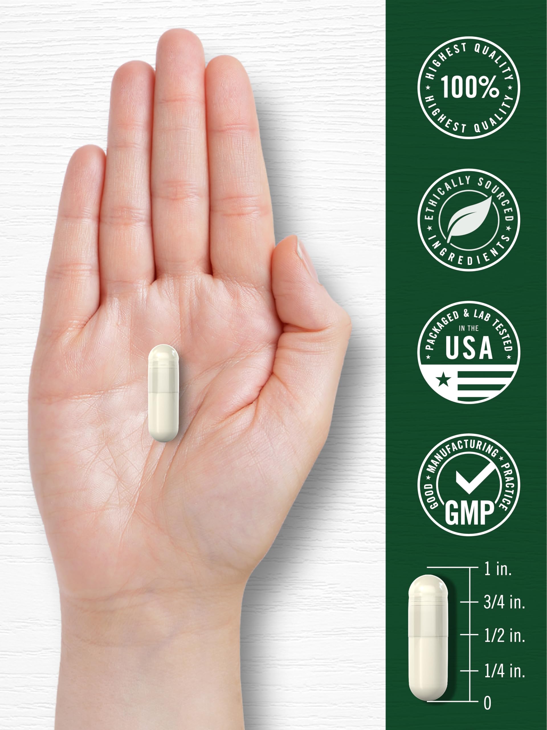 Carlyle Sulforaphane branded box with broccoli imagery signaling broccoli-derived extract