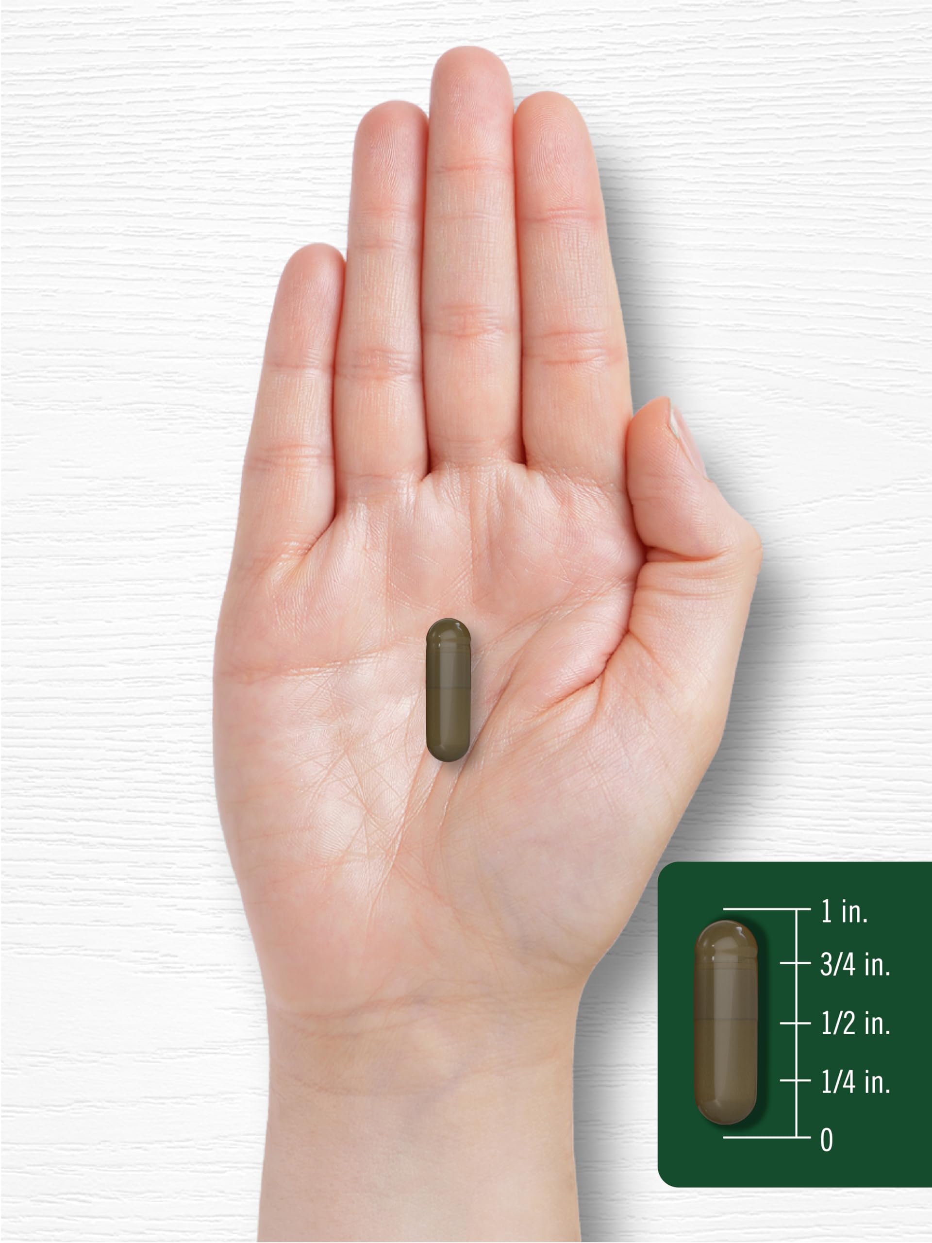 Carlyle Triphala supports daily routines for balanced wellness and comfort.