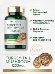 Carlyle Turkey Tail capsules arranged for easy daily routine and convenience