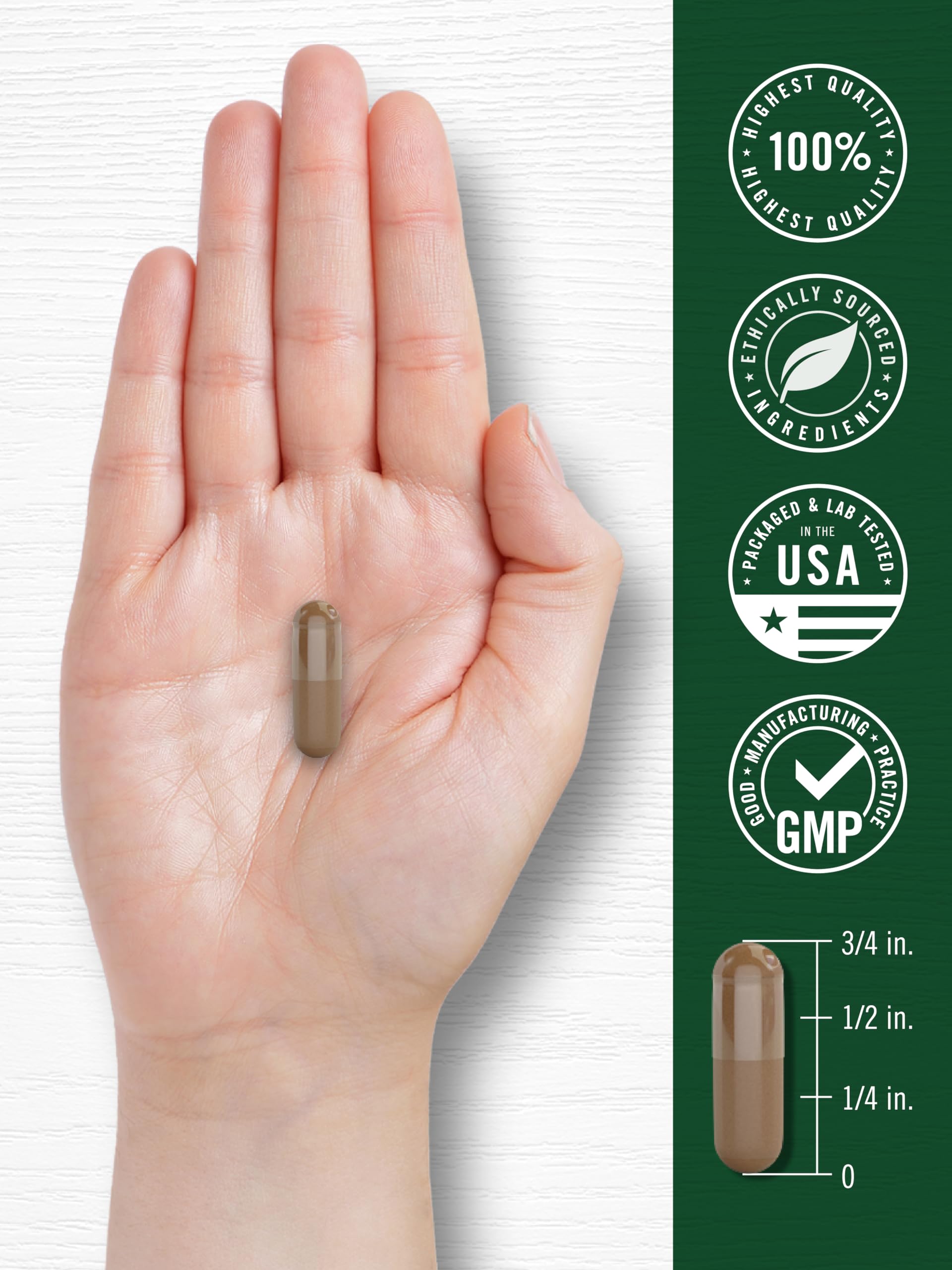 Carlyle Valerian Root bottle with glass of water demonstrates easy ingestion.
