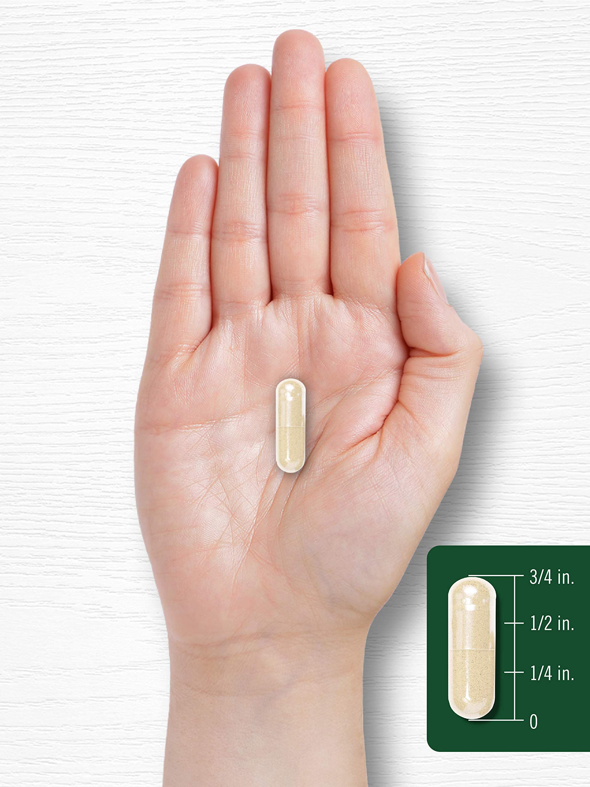 Carlyle White Kidney Bean packaging info image conveys product quality.