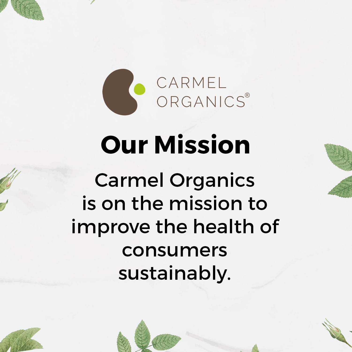 CARMEL ORGANICS Triphala powder inner and outer packaging for safety.