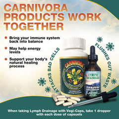 Carnivora Vegi-Caps gluten-free badge highlighting allergen-free formulation.
