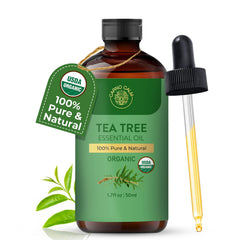 Carno Calm Tea Tree Oil diffuser drops for a refreshing room aroma.