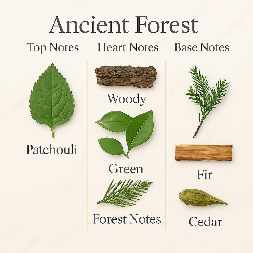 Casa Roma Ancient Forest patchouli opening for earthy, calming ambiance.