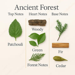 Casa Roma Ancient Forest patchouli opening for earthy, calming ambiance.