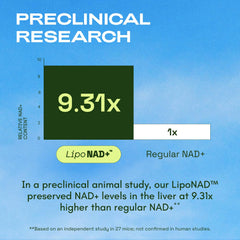Cata-Kor NAD label detail highlighting ingredients