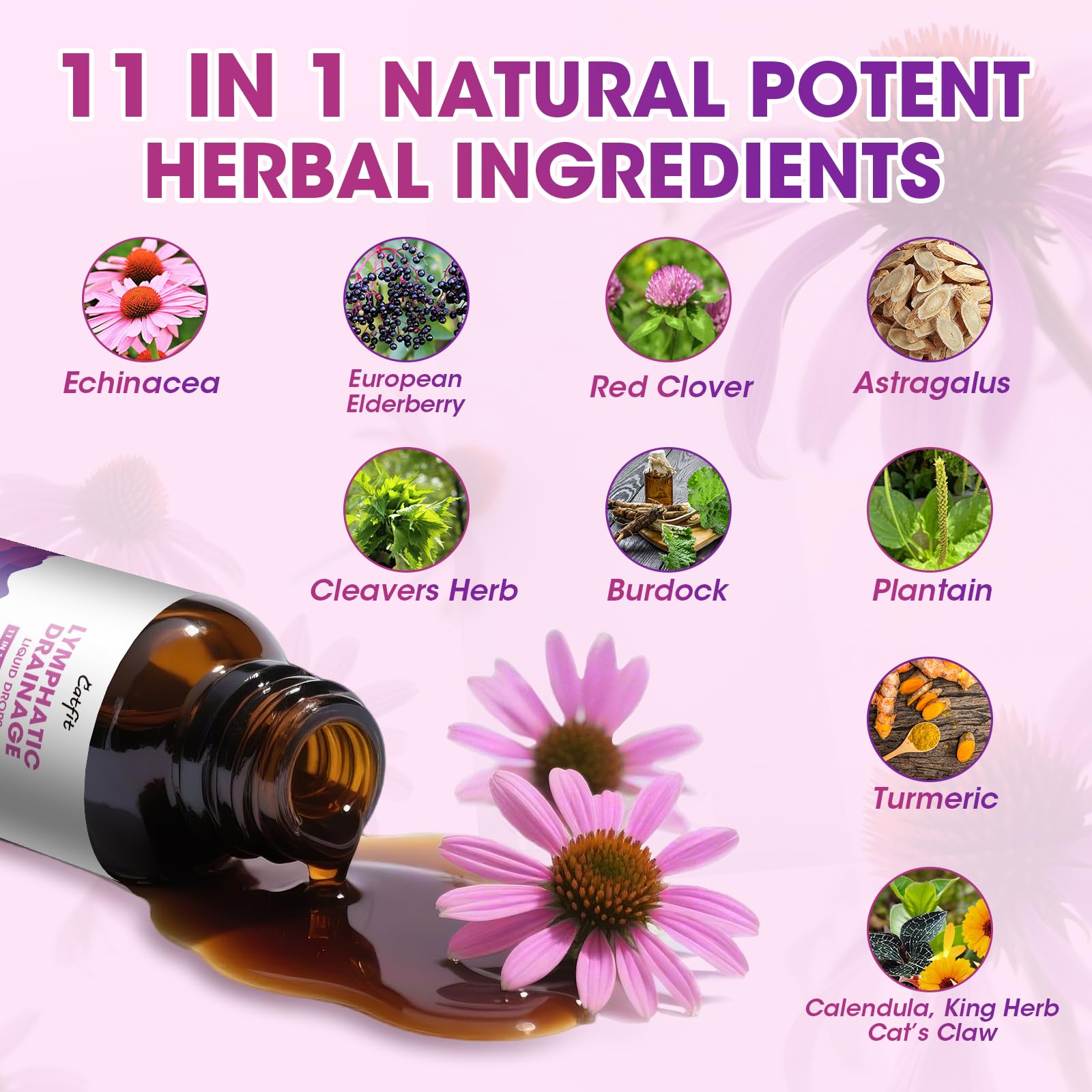 Catfit elderberry and echinacea herbs in the blend for seasonal wellness