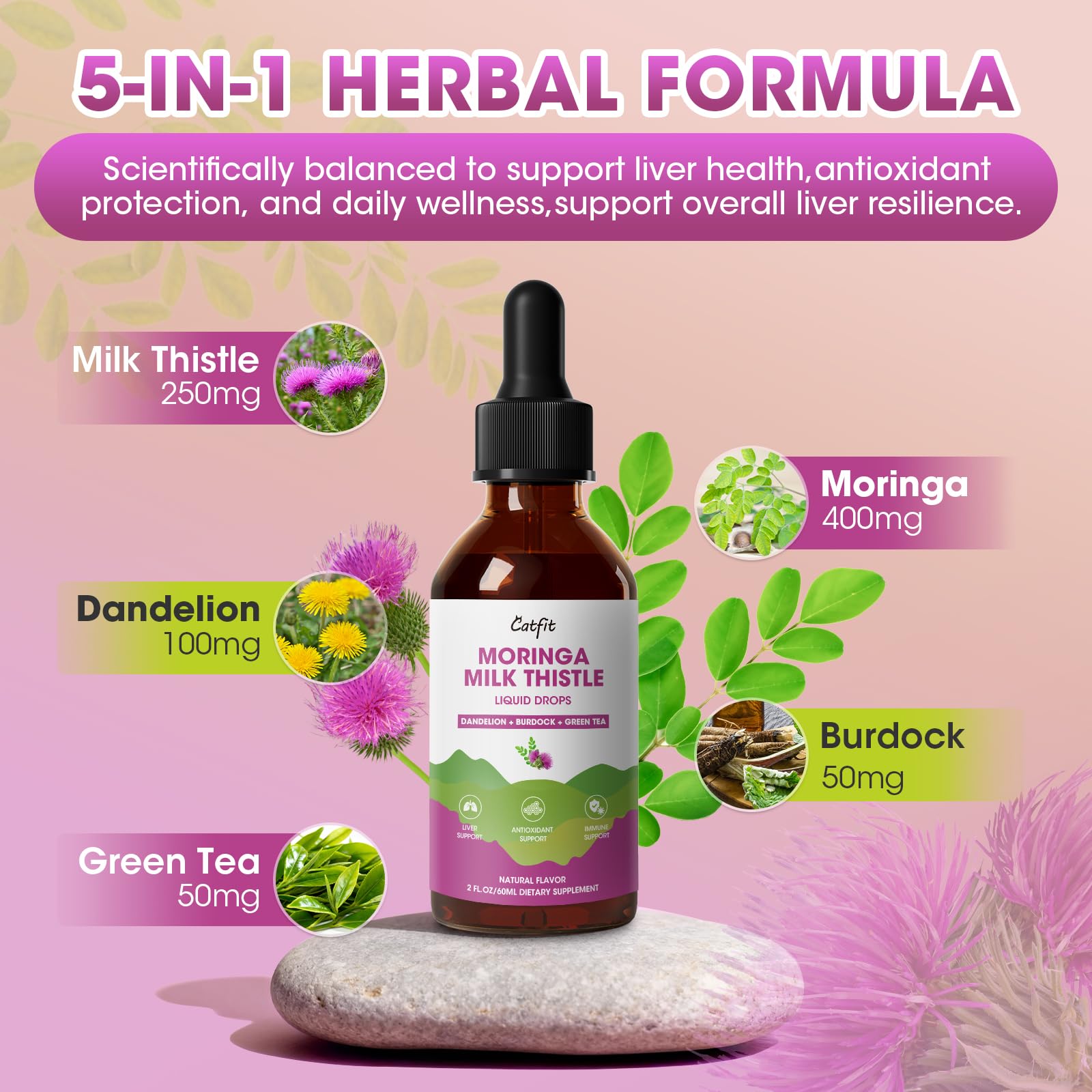 Catfit Green Tea EGCG antioxidant boost for liver health