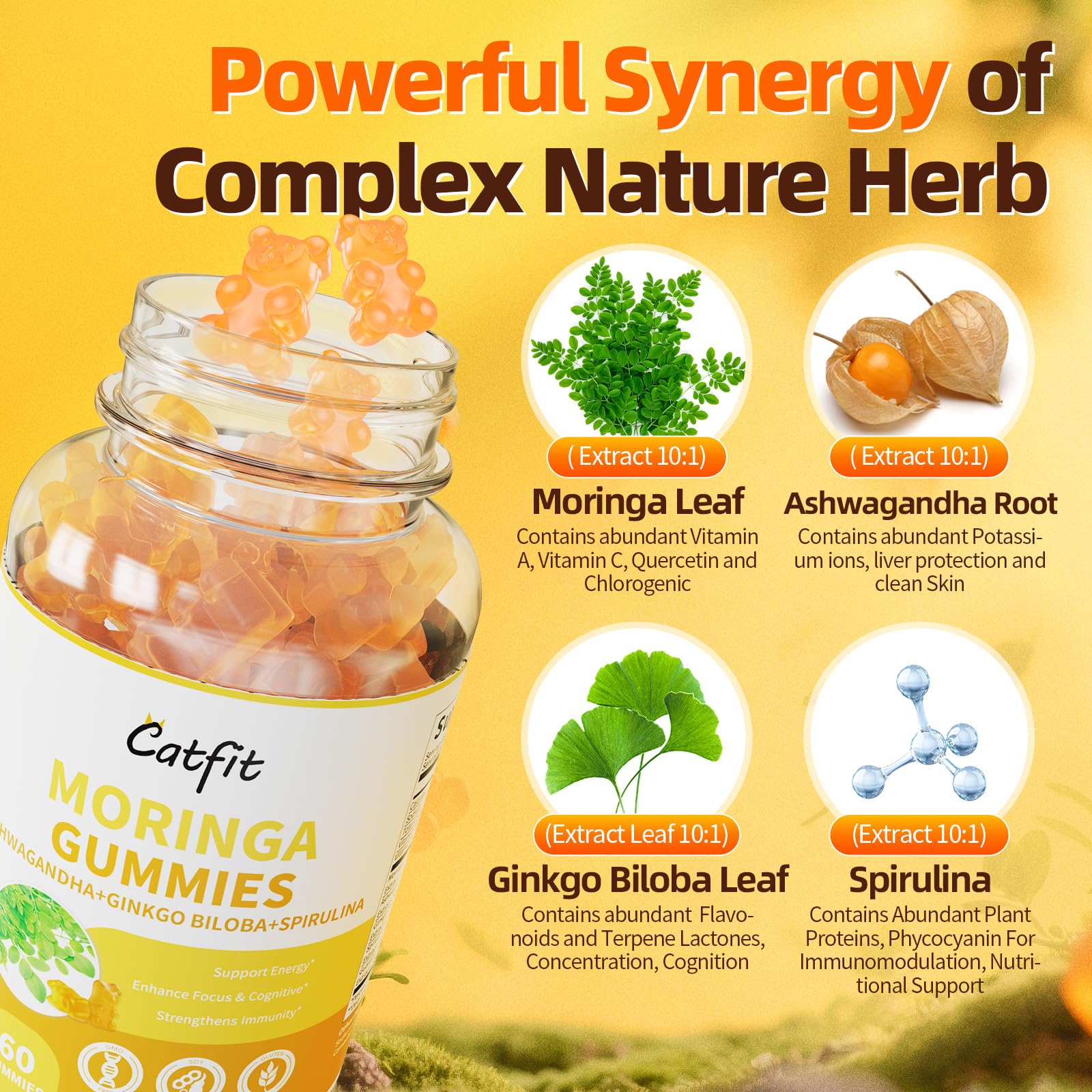 Catfit Moringa Ashwagandha Ginkgo Spirulina gummies indicate balanced focus.