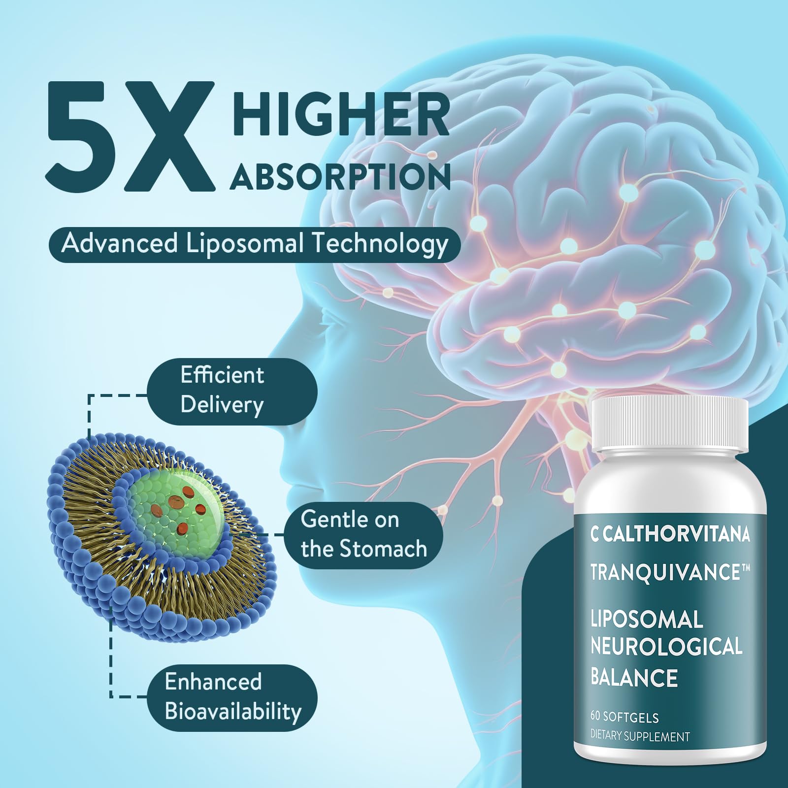 C Calthorvitana vitamins B2 B6 B12 with magnesium glycinate support daily metabolism and nerve function.
