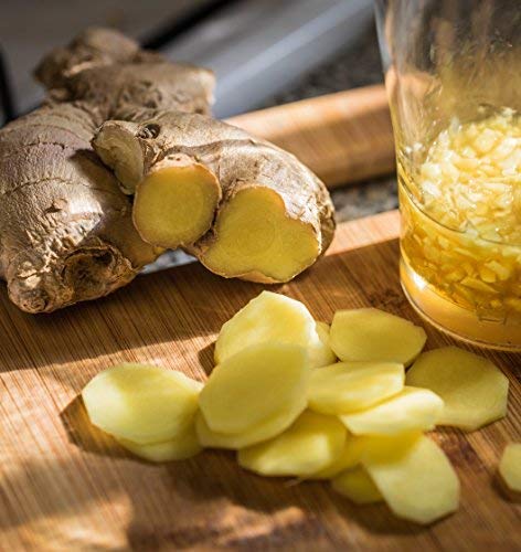 Cedar Bear Brain Booster drops in water for easy intake.