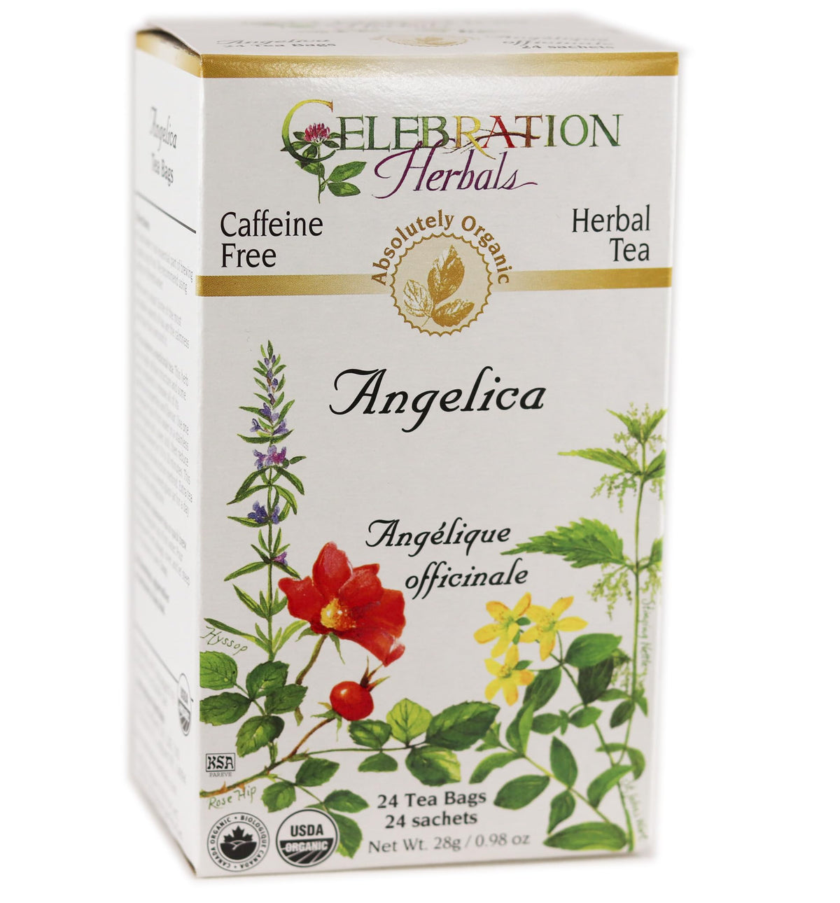 Celebration Herbals Angelica Root Organic 24-Bag front label showcases premium herbal packaging.